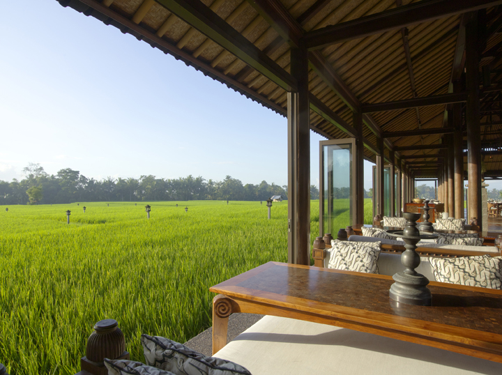 The Chedi Club Tanah Gajah restaurant offers unobstructed panoramic views of Tanah Gajah’s rice fields and the tropical jungle beyond from every table.